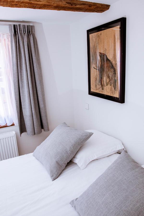 App'Art - Le R Apartment Kaysersberg-Vignoble Ngoại thất bức ảnh